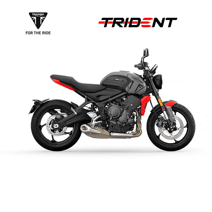 Trident 660 Angle